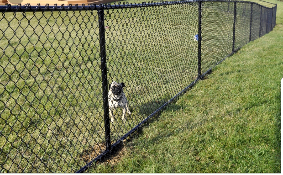 Austin TX professional fencing companies